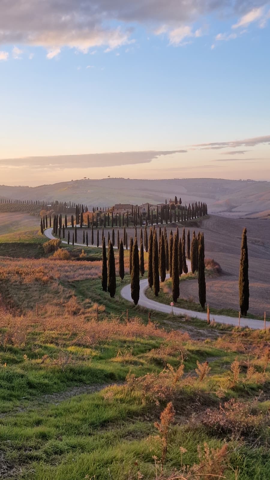 2737312f-d4d0-4e1d-8c34-1e46db3d1e5d