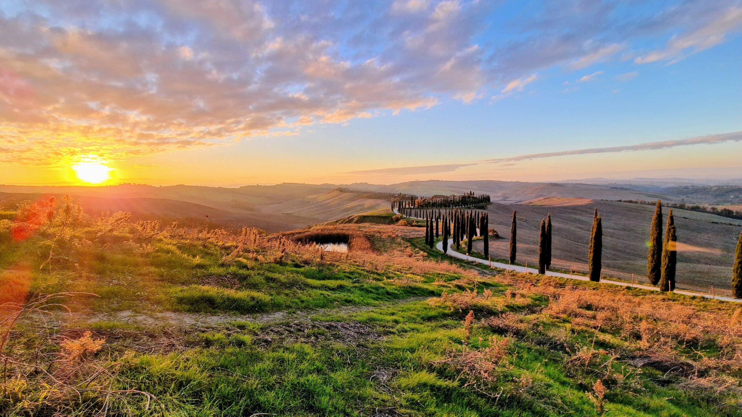 38bdc860-7c3f-41fa-8805-f7042b7c74d5